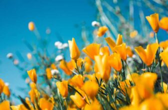 37 Inspirational March Quotes for a Happy Month