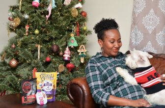 Safe Foods for Dogs During the Holidays