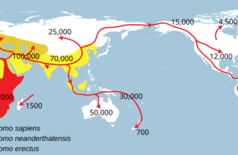 The Decline and Fall of the Human Empire