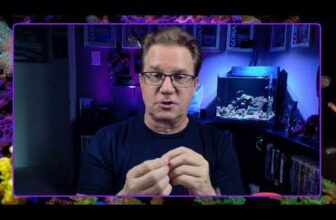 Making a controller board, new anemone, a shiny new TOR, and more