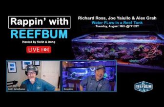 Rappin’ With ReefBum: Guests Richard Ross, Joe Yaiullo & Alex Grah – Water Flow in a Reef Tank