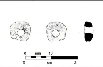 A Scallop Shell Bead Buried 68 Kilometers from the Sea Rewrites the Timeline of California’s Inland Trade Networks