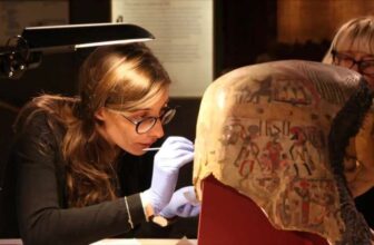 Sesame and Moringa Proteins Turn Up in Ancient Egyptian Paint Layers