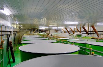 Sake Industry News. Issue #156.