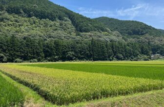 Sake Industry News. Issue #166