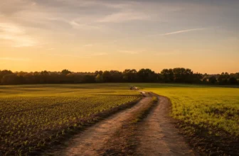 Beyond Hunter and Farmer: A New Sales Model