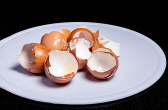 Eggshell Membrane: Fast-Acting Joint Support Hiding in Your Breakfast