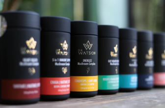 Why Mushroom Supplements Are Gaining Popularity in Wellness Circles