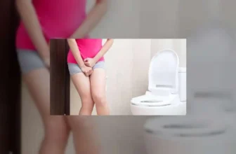 Gastrocolic Reflex: Is It Normal to Rush to the Toilet After Eating? When to Worry and When Not To