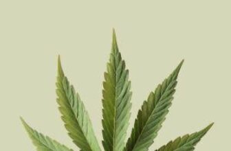 Deep In Canna Land – Gotham Gal