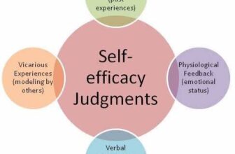 SELF EFFICACY II – Welcome to the Universal Platform