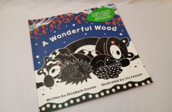 A Wonderful Wood by Elizabeth Davies & Lily Fossett – The Strawberry Post