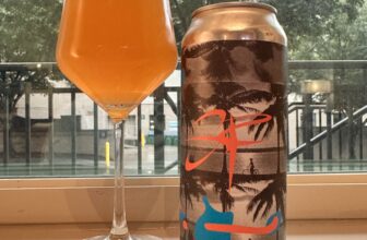 Aslin Brewing Company Summer Fruittata – Best Beer Blog
