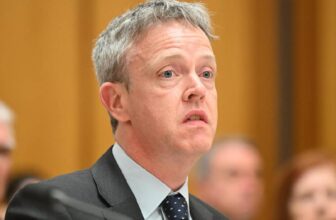 In-House Lawyer Says His Probe Was Undermined by Misleading Answers