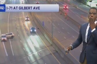 TV reporter catches car crash live during news broadcast