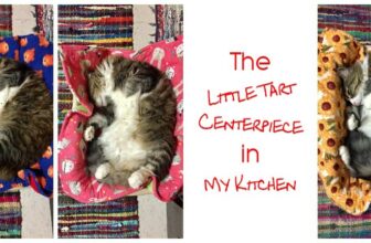The Little Tart Centerpiece in My Kitchen