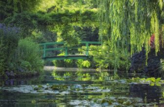 In France, Brutal Summer Heat Waves Are Taking a Toll on the Flowers That Inspired Claude Monet’s Most Beloved Paintings