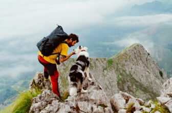 Dogs and Outdoor Safety: Tips for Hiking with Your Canine Companion