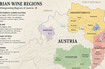 Grüner Veltliner: Crisp, Vibrant, and Seriously Underrated