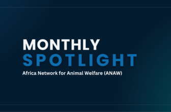 Monthly Spotlight – Africa Network for Animal Welfare (ANAW)