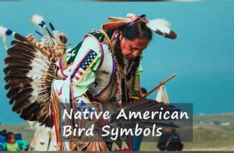 The Wisdom Of Native American Bird Symbols Explored