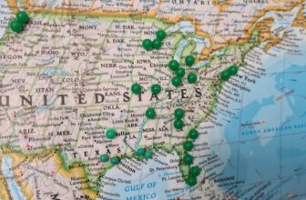 How Global Professionals Can Plan a Move to the United States