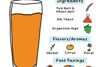 Everything You Need To Know about IPA Argenta