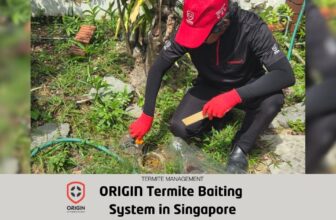 Does ORIGIN Provide Termite Baiting in Singapore?