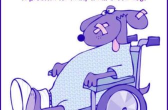 Signs, Grades, Treatment, and Care