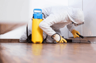 Professional Spider Pest Control Singapore