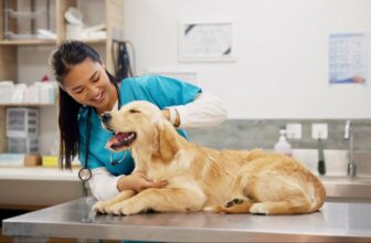 Pet Care Business Insurance | EINSURANCE