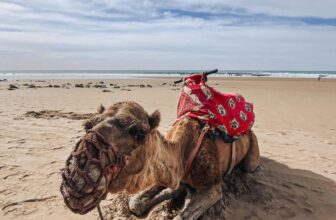 Morocco, my crazy, scary 8-day adventure