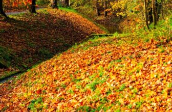 Generation wars – Beyond Meds: Alternatives to Psychiatry