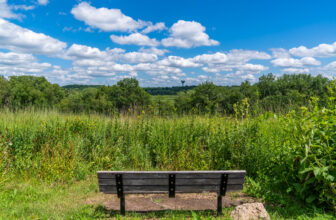 Three ways to volunteer and enjoy beautiful Wisconsin