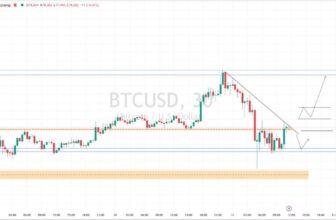 31 August 2026 – Rehana William |Financial Consultant _Forex_Gold Xauusd| Fund Manager