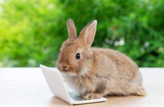 Down the Rabbit Hole of Technostress – Easy Ways to Ease Stress