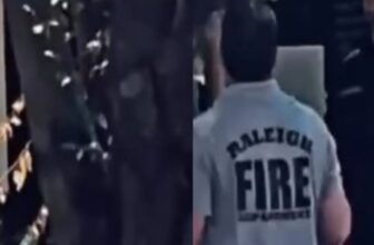 Black man found hanging from tree near Raleigh’s Caribbean Fest