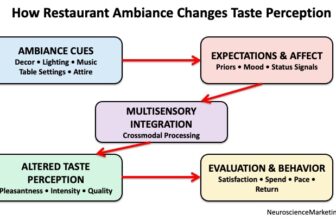 Servicescapes, Cruise Line Dress Codes, and the Science of Experience