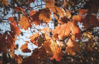 58 Free & Creative September Marketing Ideas for Any Business