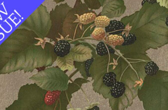 Foraging – Small Farmer’s Journal