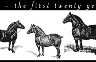 How Big Should A Draft Horse Be? – Small Farmer’s Journal