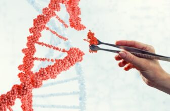 The future of bioethics in a changing world order