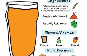 Everything You Need To Know About Strong Bitter