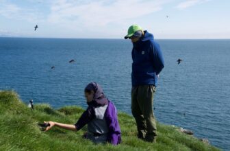 Fragile Followings: Leaving and Returning to the Ecological Field