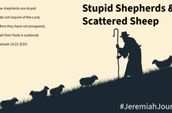 Stupid Shepherds & Scattered Sheep – Rev Bruce’s Blog