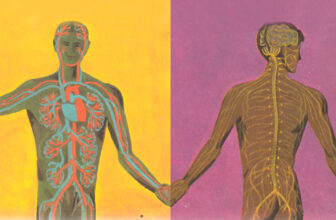 The Science of Rupture, Repair, and Reciprocity – The Marginalian