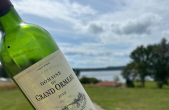 2019 Domaine du Grand Ormeau