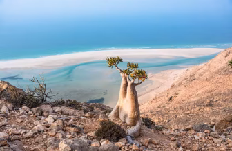 How to travel to Socotra in 2026