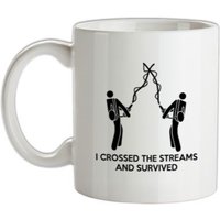 I Crossed The Streams And Survived mug.