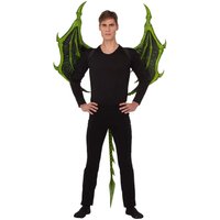 Costume for Adults My Other Me Dragon Foam Wings 104 cm